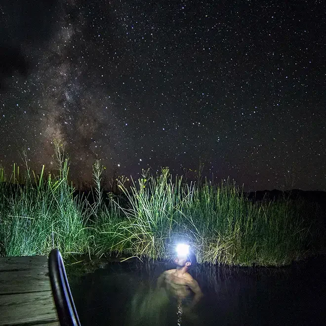 Star Gazing